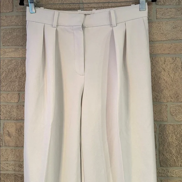 Aritzia Babaton Revue Pant
High-waisted pleated pants - Picture 3 of 15